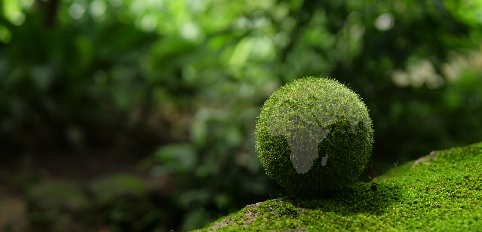 Driving Sustainability Through Innovation at R&B Industrial